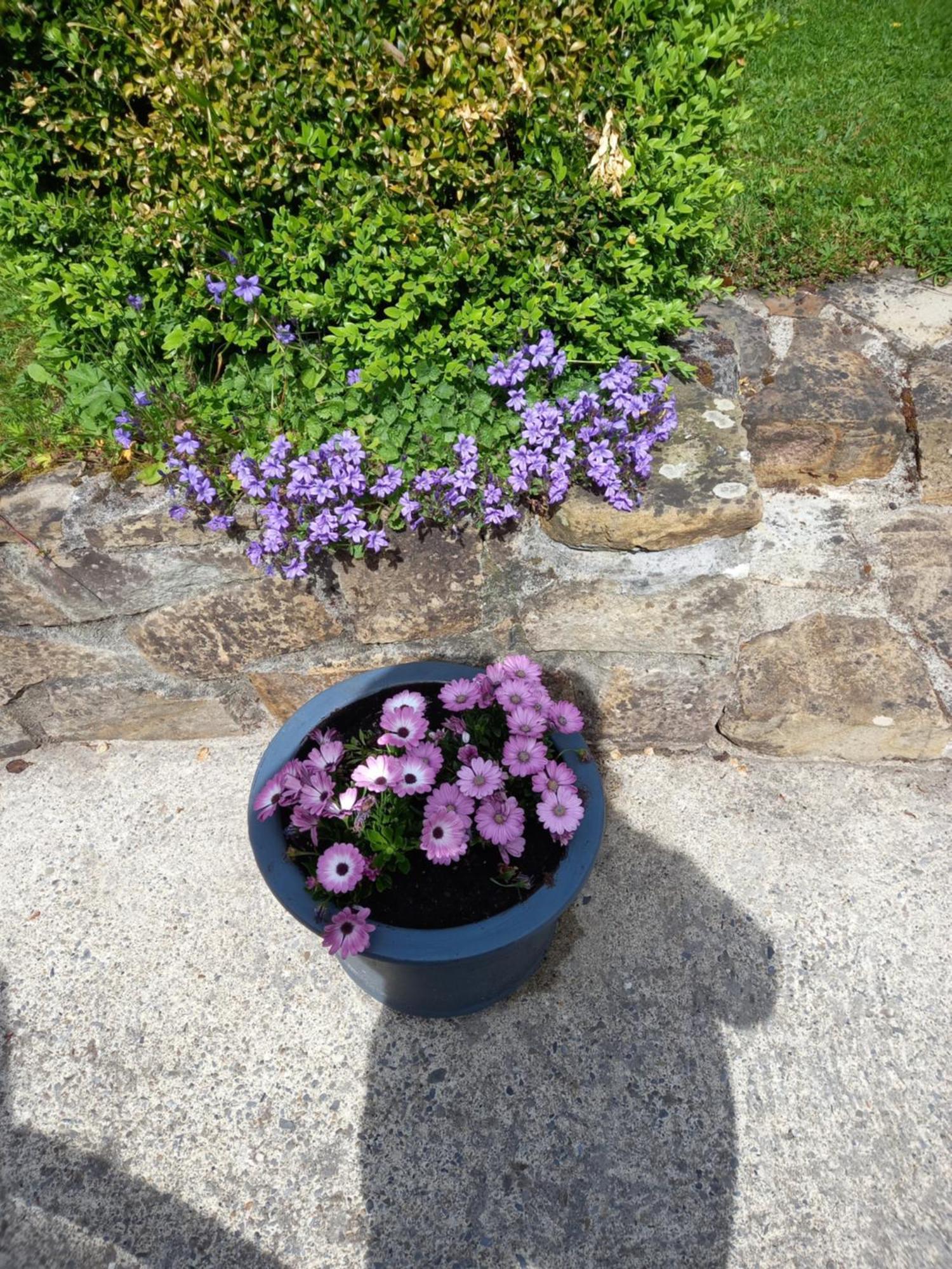 Bed and Breakfast Carraig Rua Kilkenny Esterno foto